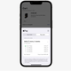 Screenshot of Apple Pay Later